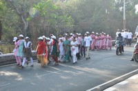 Balakrishna at Cancer Awareness 2013 Photos